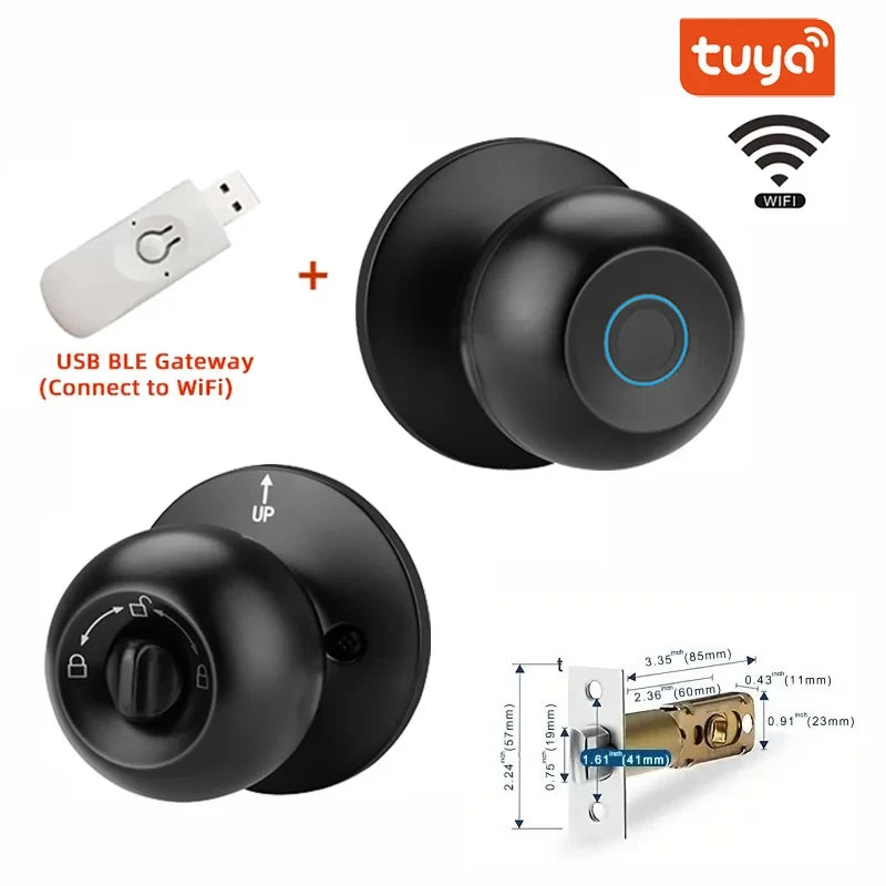 Biometric Smart Door Lock