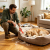 Carpet Rake For Pet Hair Removal